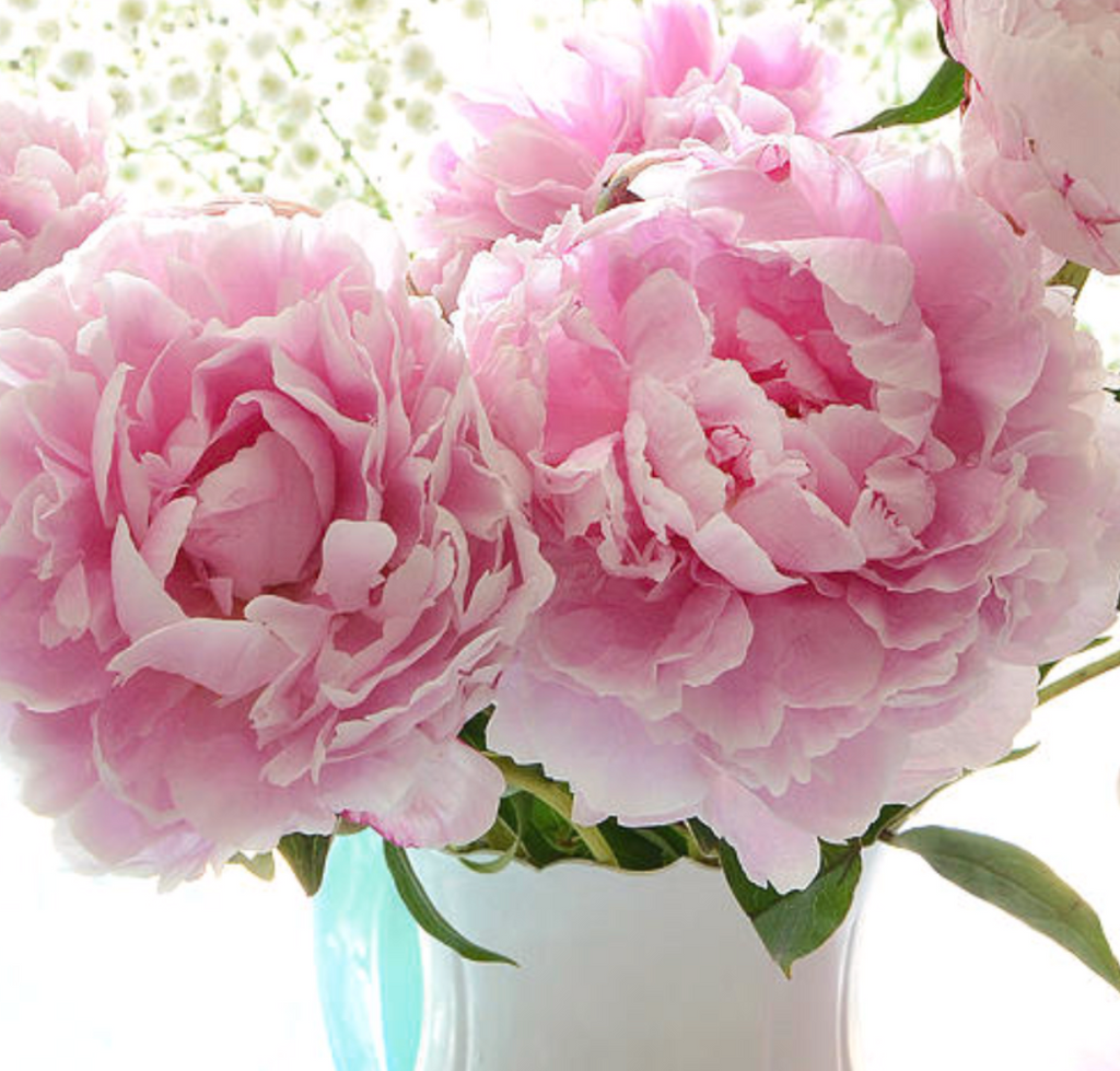 5/10/21 - Pink Peony Dinner Party  -  with shrimp & grits and lemon tart