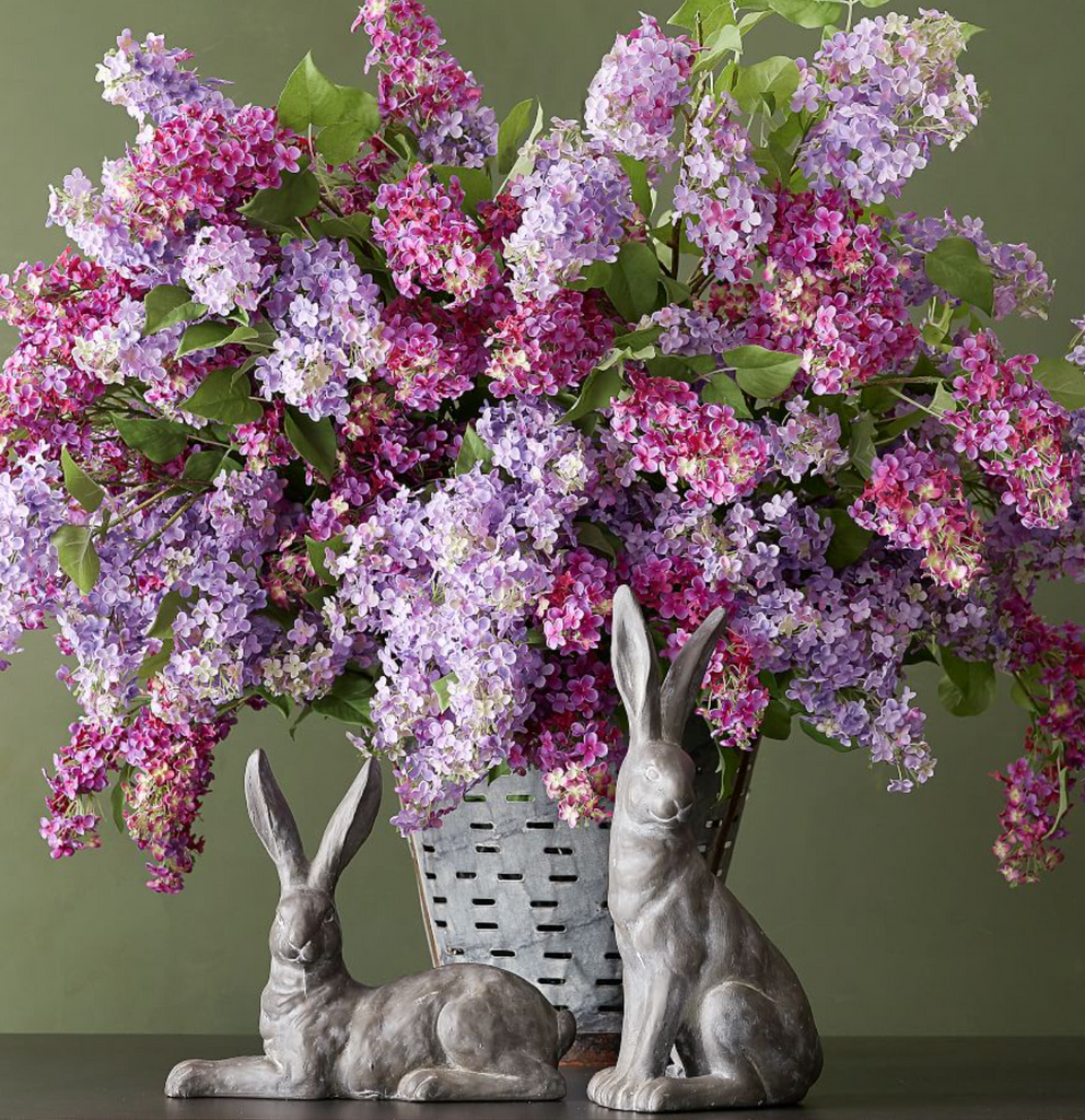 3/28/22 Get your Bunny on