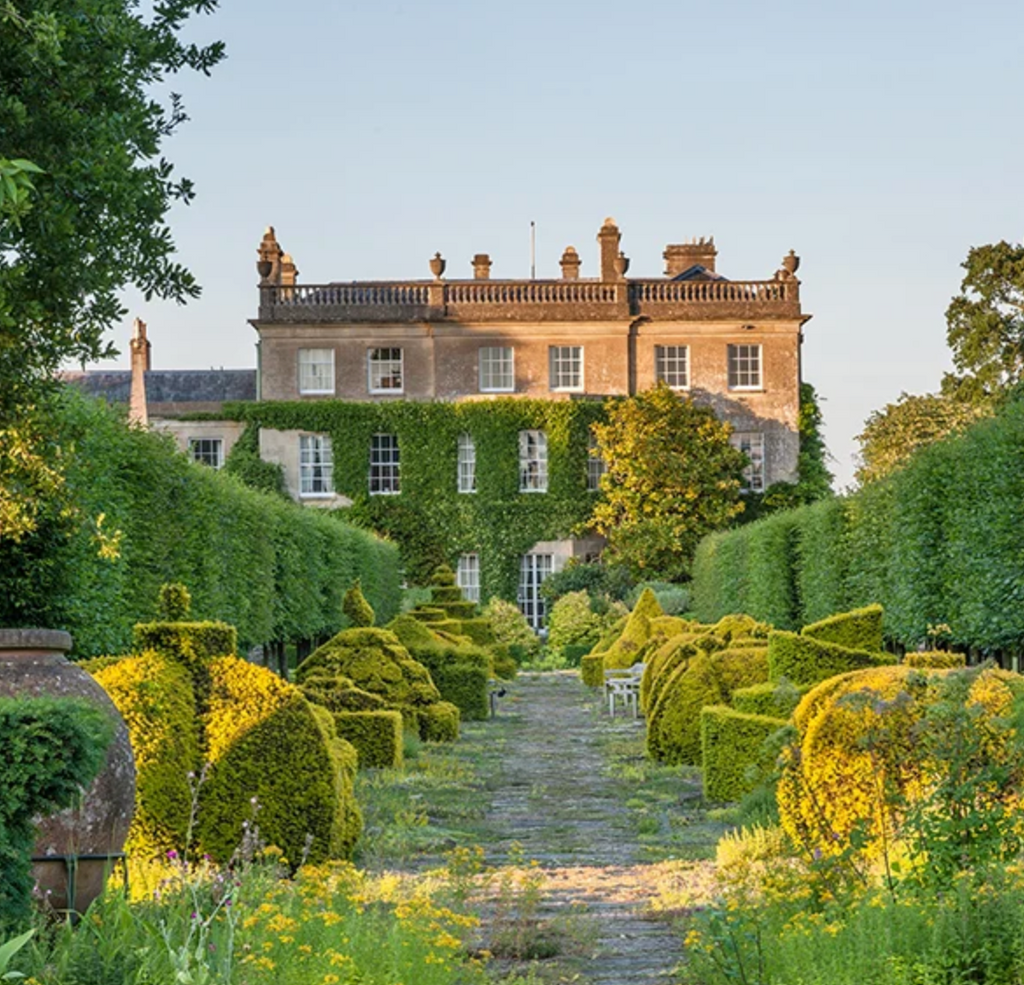 Postcard from the Cotswolds 6/23/25
