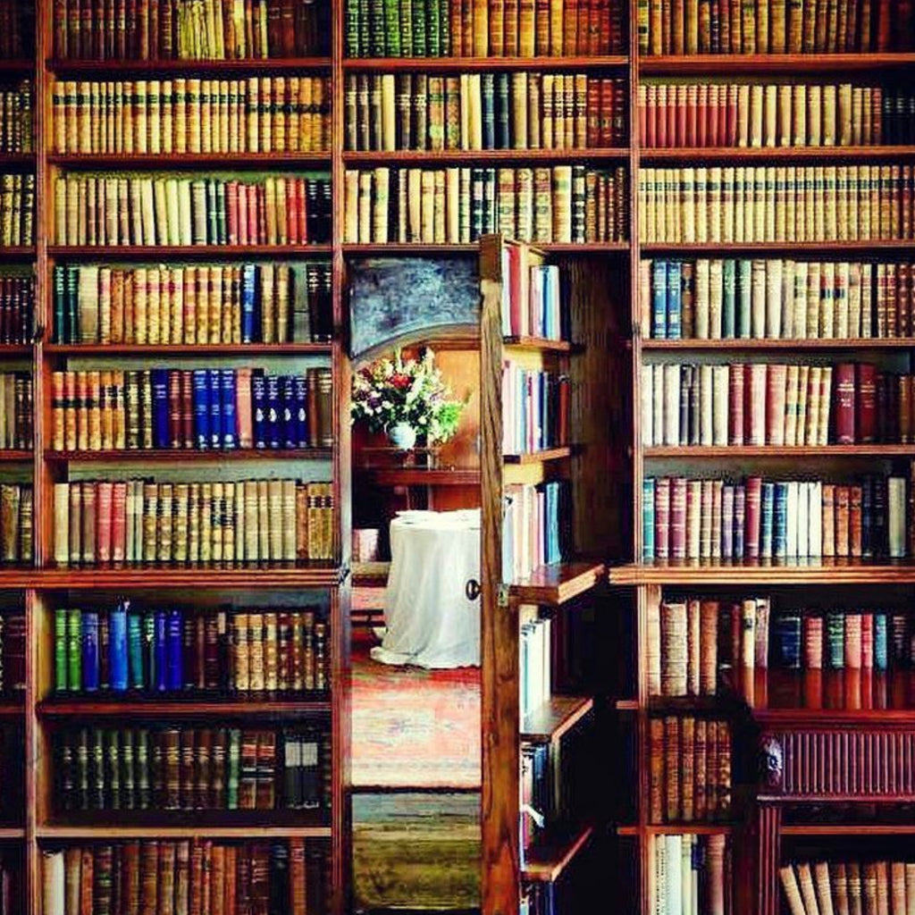 A Library of Curiosities 9/26/22