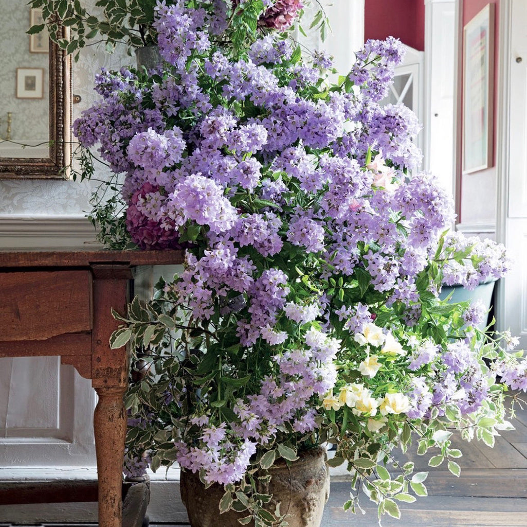 5/23/2022 Ode to Lilac and Green