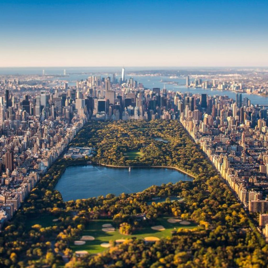 4/25/22 A New York Minute for Mother