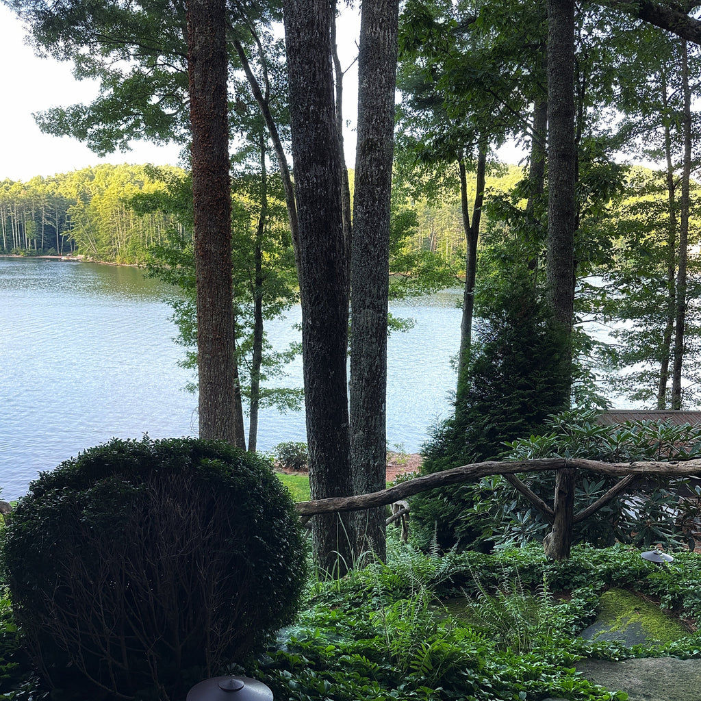 On Creativity 7/21/25