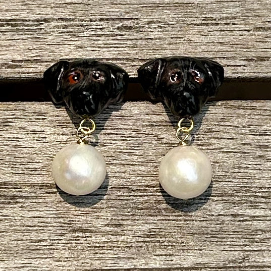 Black Labrador drops