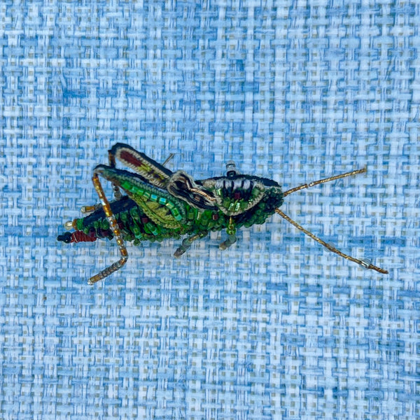 Cricket brooch