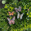 Purplewing butterfly brooch
