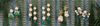 Mitford drops, grande dame blanche