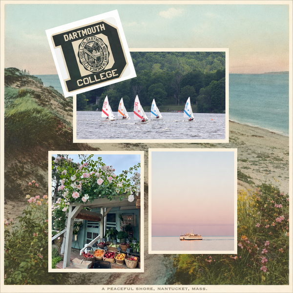 Summer Postcards 6/29/26
