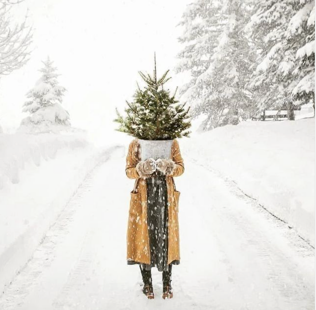 And Just Like That - December Arrives 12/1/25