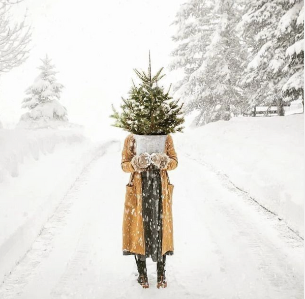 And Just Like That - December Arrives 12/1/25