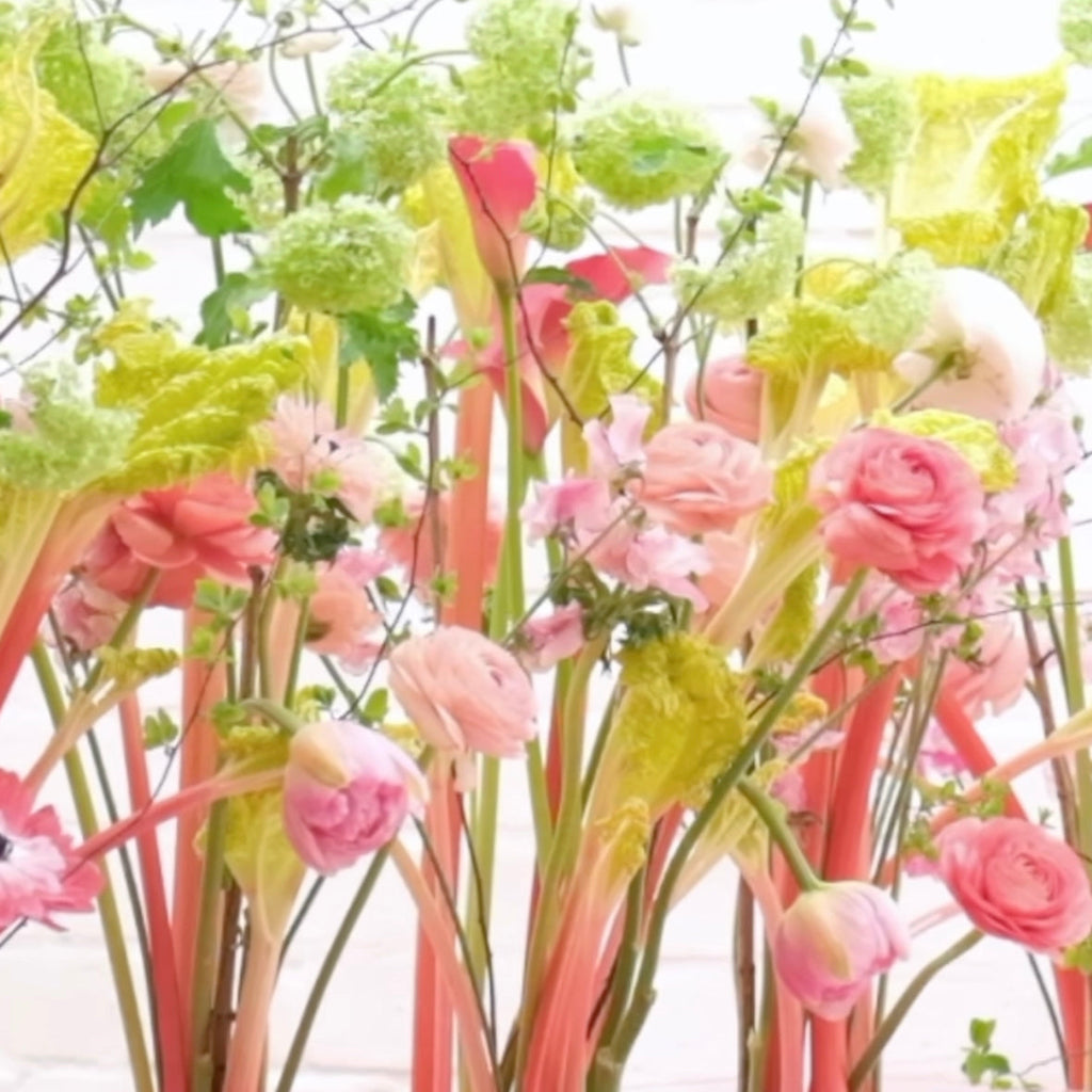 Florabration 4/6/26