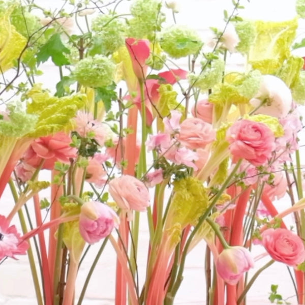 Florabration 4/6/26