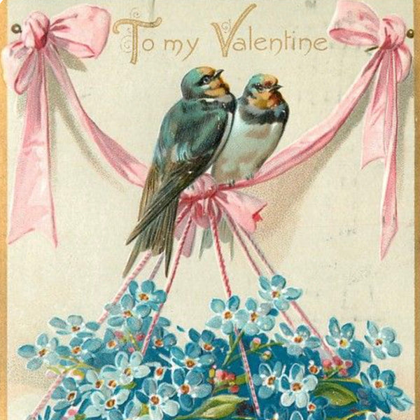 Love is in the Air 2/2/26