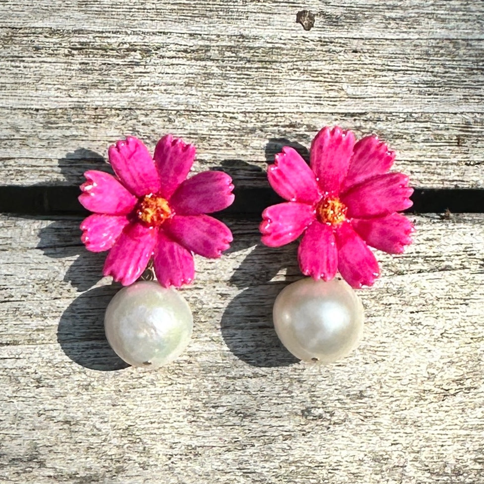 Cosmos pearl drops, pink
