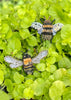 Honey Bee brooch