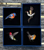 Robin brooch