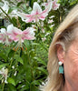 Les Poissons, ear bobs in amazonite