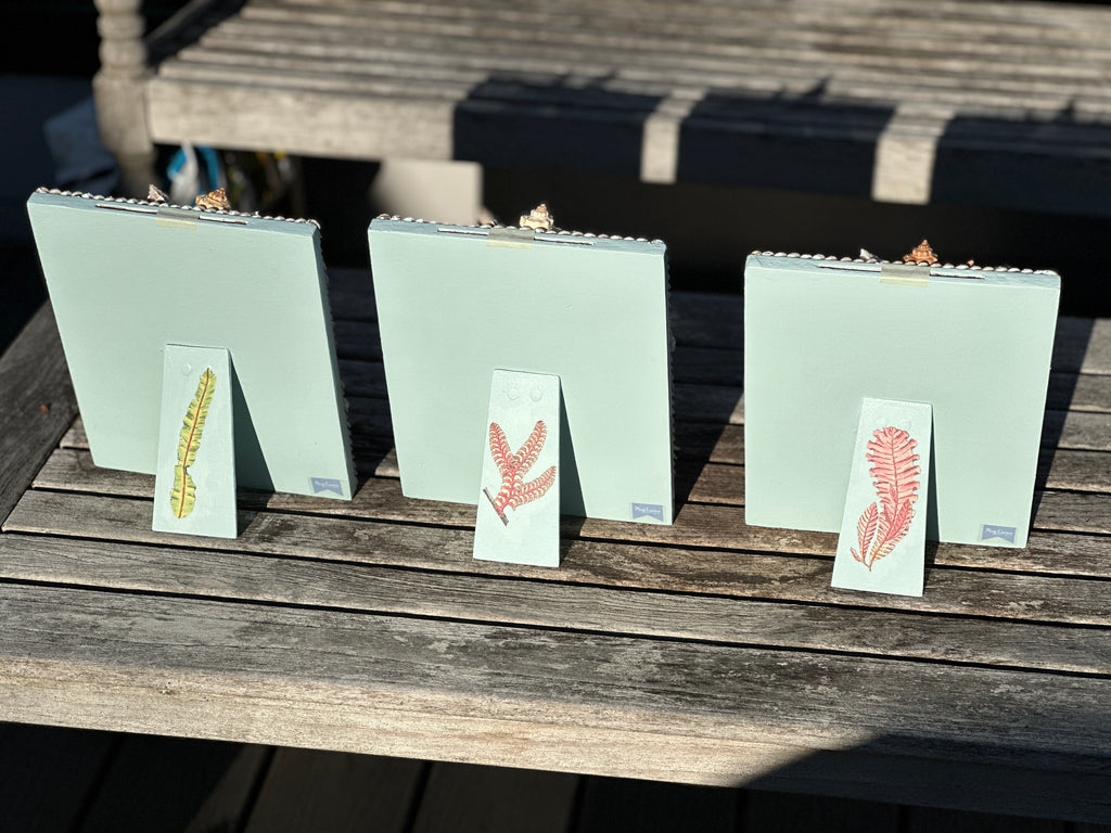 Handmade Shell Frame – Meg Carter Designs