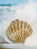 Shell Monogrammed Trinket Box