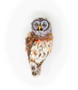 Hoot Owl brooch