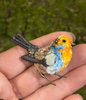 Robin brooch