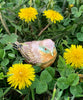 Little Wren Monogrammed Trinket Box